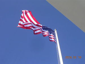 Meet your Posher, Bradley